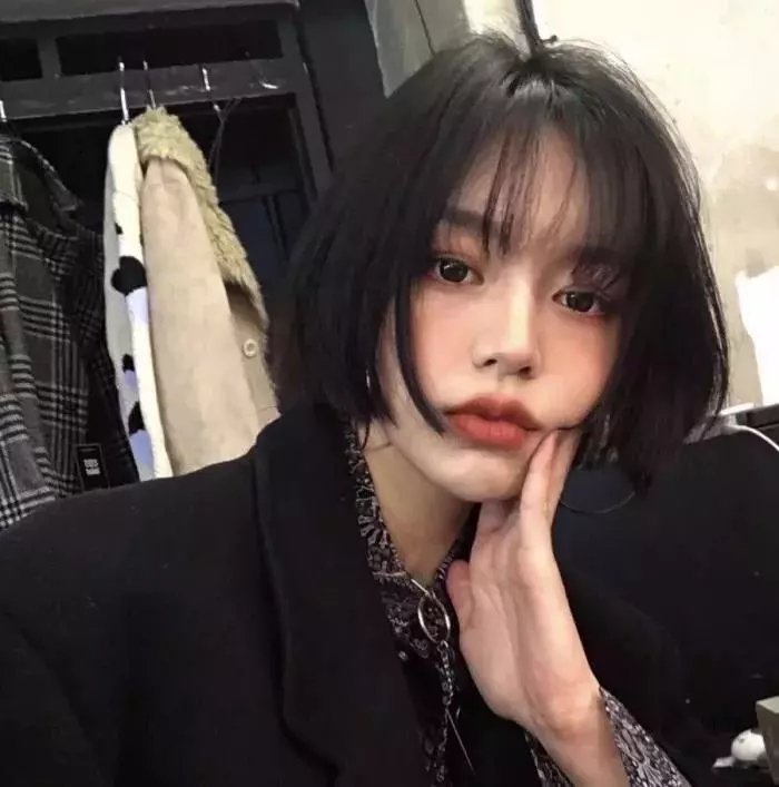 挚爱极地